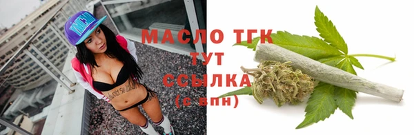 2c-b Бородино