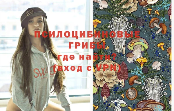 2c-b Бородино