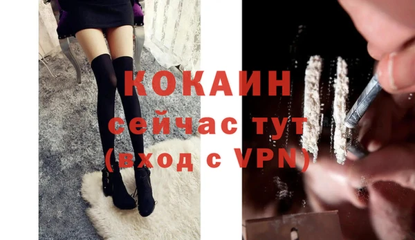 2c-b Бородино