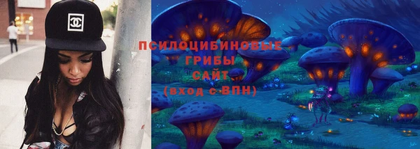 2c-b Бородино