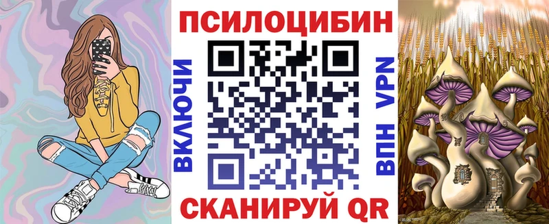 Купить закладки  Чухлома  Галлюциногенные грибы Psilocybe 