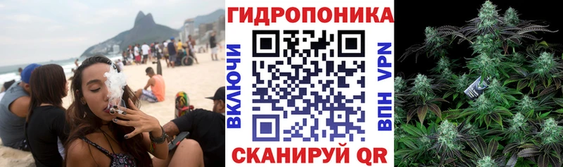 Купить  Чухлома  Каннабис OG Kush 